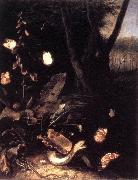 SCHRIECK, Otto Marseus van Still-life with Plants and Reptiles ery oil painting on canvas